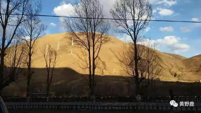 不上幼儿园的优优鹿鸣，在兴趣中接受教育——老作家谈育儿