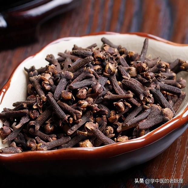 每日一中药——丁香