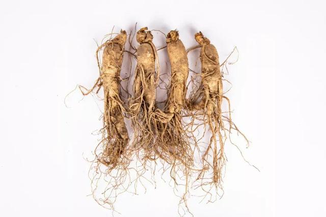 家里有贵重药材，又不知道怎么保存？这篇文章一一告诉您