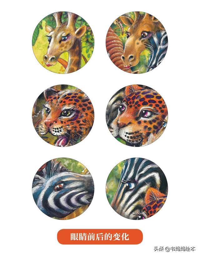 儿童全科启蒙绘本，启蒙全面思维能力，发展多维教育潜能