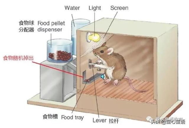 「童心童语分享」蒙台梭利教育与表观遗传学原来有这么密切的联系