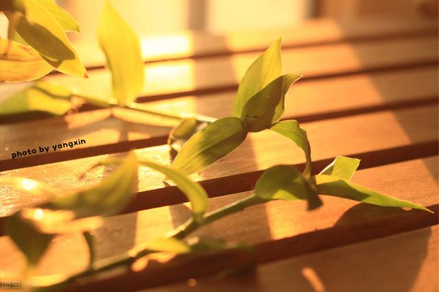 極簡生活第132天 一次只做一件事 中國熱點