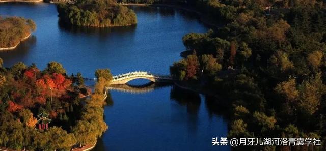 张珍玉丨调营卫治疗风湿痹证