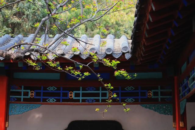 民歌经典歌曲大全（流传最广的10首古代民歌）