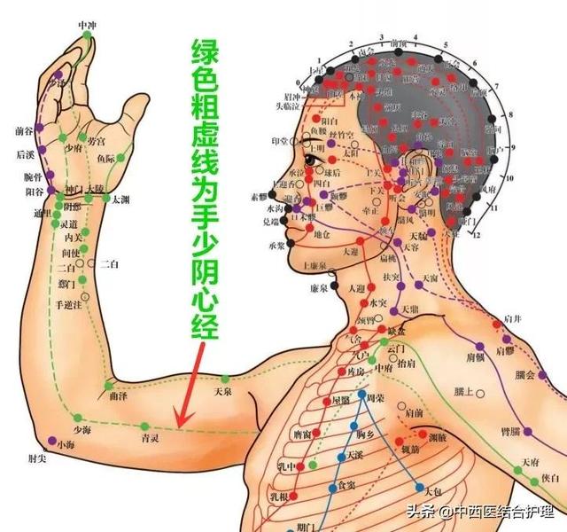 「穴位知识」 十二经脉·手少阴心经之青灵穴