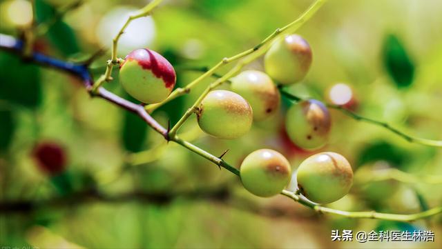 中医总结：常吃这八种天然食材，能够养血安神，预防失眠