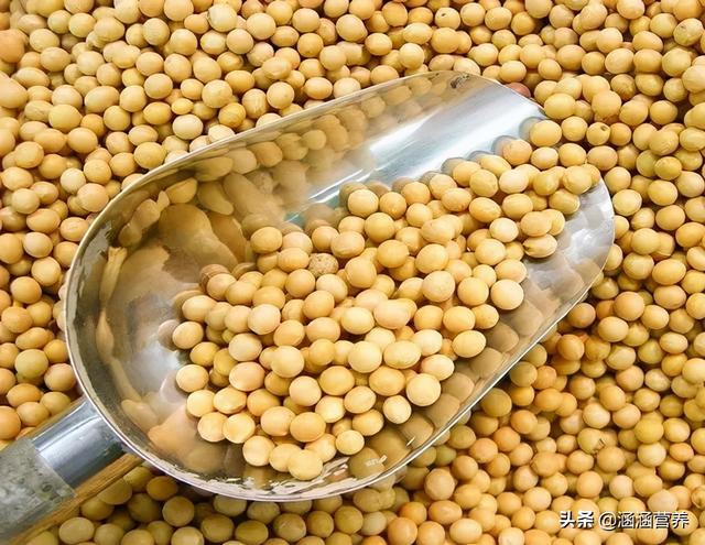 减慢变老的速度，多吃这5种食物准没错