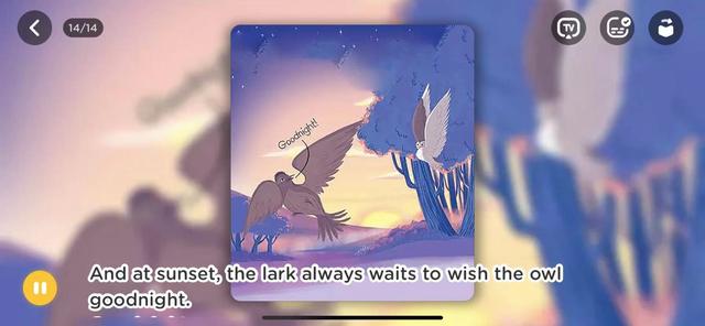 跟孩子一起读绘本：《The  Lark  and  Owl》