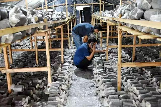 江西穷小伙，拿20万炒股血本亏，揣400元再闯深圳，如今身家30亿