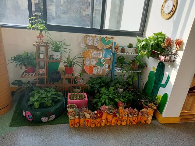 幼儿园环创设计之植物区角