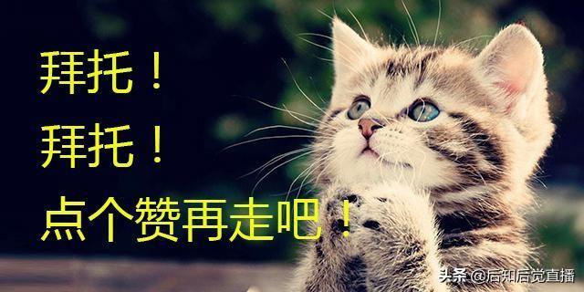 600636股票(600636股票股吧) 第2张