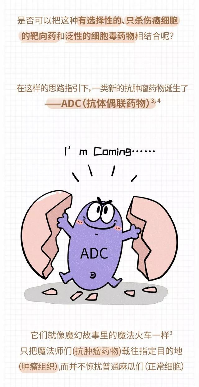 一圖讀懂丨ADC類藥物（腫瘤的第四階梯藥物）