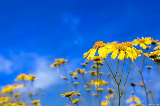 爱上阅读 是一辈子的享受