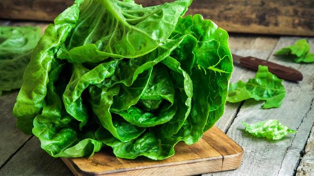 秋季易高发多种疾病，巧吃食物来预防