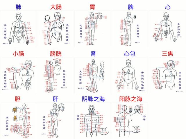 八门对应人体部位图片