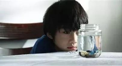 孕妇怀孕生小孩，家人不可以做医盲