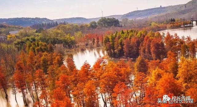 康红舒：教育要滋养孩子的美好人性