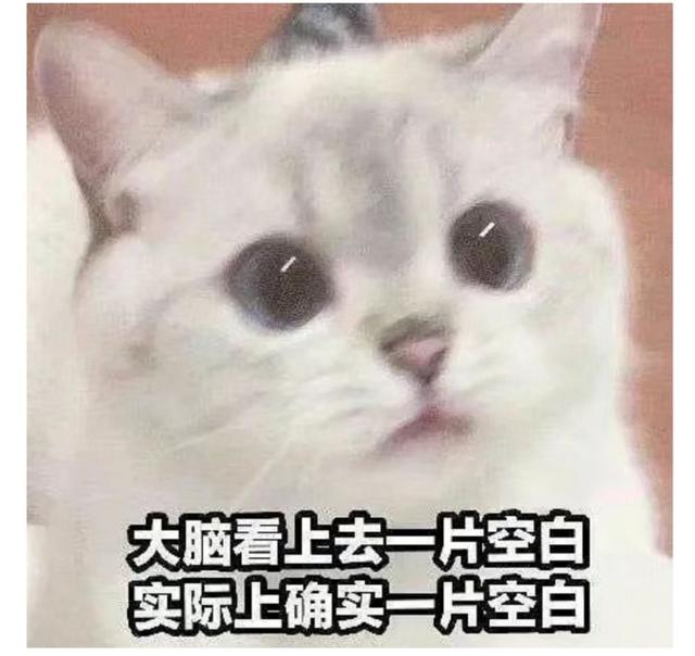 手机产品更新换代这么快，到底啥时候该换手机？