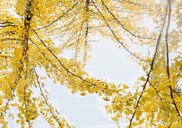 联想问题是大是小？