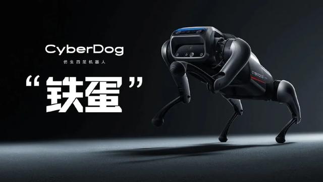 剛剛，小米發佈瞭一隻狗！售價高達9999元，比我傢的狗還聰明