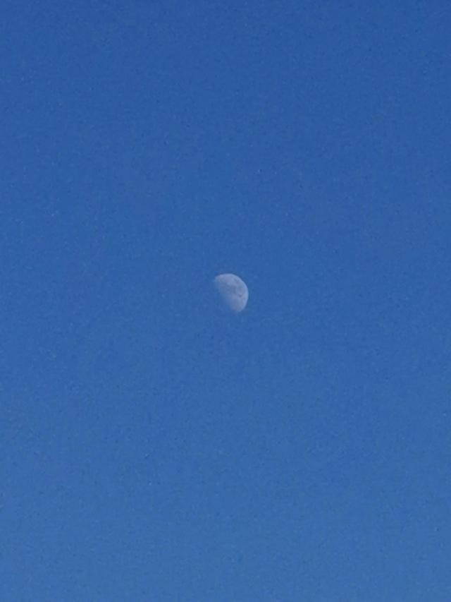 强大的头条网友们，大白天出现在天空的这个星球是不是月亮孩子问