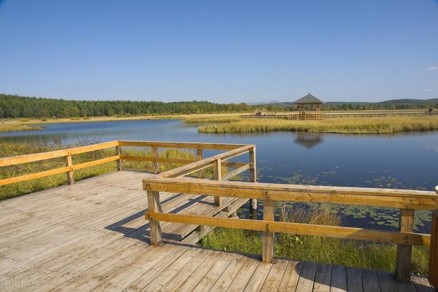 请教孩子拿起机关枪，狂扫秋冬流行病毒病菌