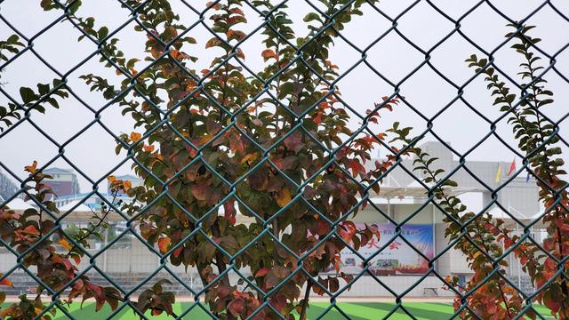 2021年三星note10+当主力机怎么样