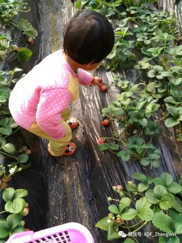 抓住宝宝语言的敏感期，认真英语启蒙2个月就有如此欣喜的变化