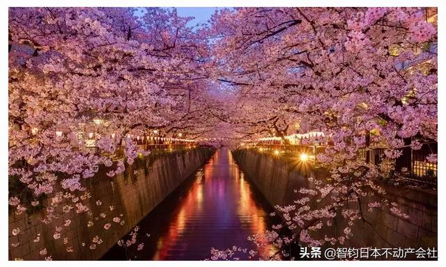 住在jr山手线目黑站附近是什么感受 Zh中文网