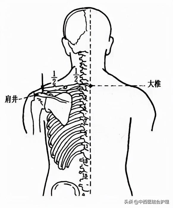 「穴位经络养生」穴位就是中药，经络就是药房！经常按摩穴位，太有用了！收藏吧