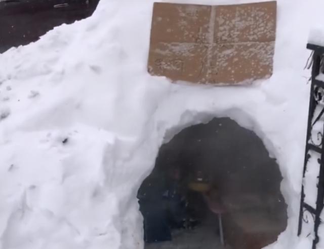 会玩！黑龙江一男子特意给孩子造雪屋，备好食材坐里面吃火锅