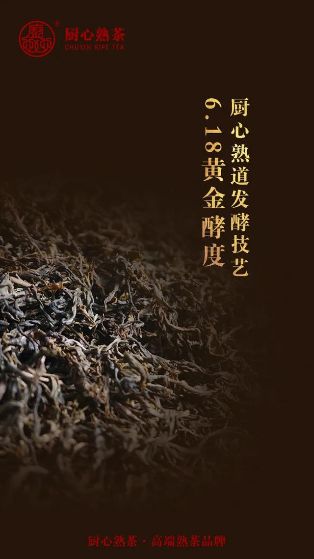 发酵的魔力，健康熟茶温养身心