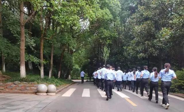 為瞭更好地重逢 花明樓景區做瞭這些事兒