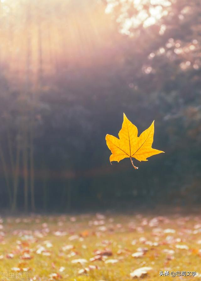 散文：秋思秋韵