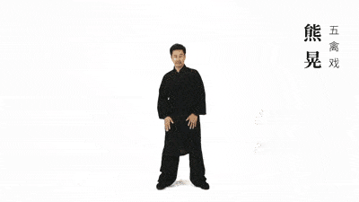 养生气功五禽戏教学（仙家秘传五禽戏：健康长寿）