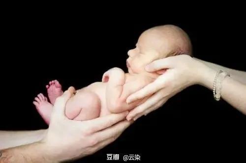 《从出生到独立——写给父母的养育心理学》教你从0开启养儿大业