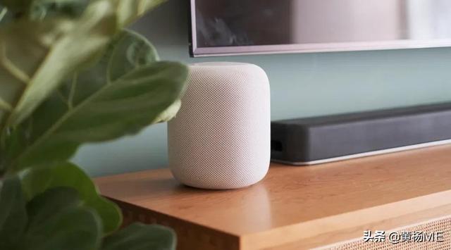 苹果音乐好用吗（Apple Music怎么使用，经验分享）