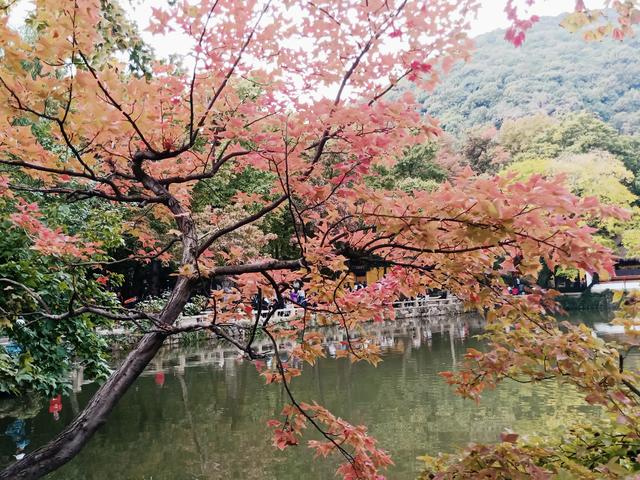 带宝宝爬天平山