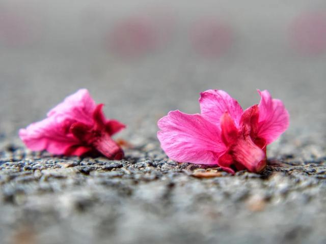 尊师重教的诗歌短文（从古诗词里感受尊师重教）