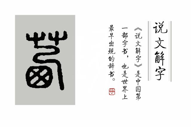 茜读xi还是qian茜茜公主的茜怎么读