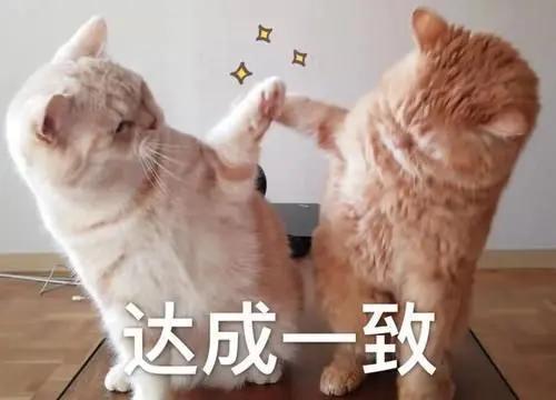 小孩喜欢打架、踢人等坏习惯怎么办？