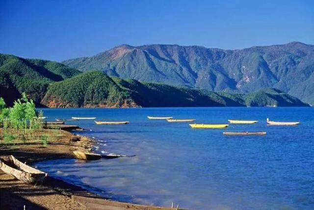 从1月份的产后抑郁，到11月份的自信独立，我做了这件事