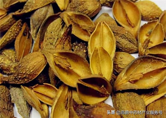 高鹏说药材：预计中药材行情拐点将在2022年春秋季出现