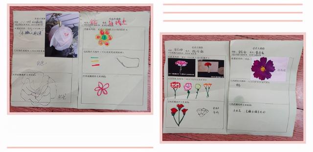 寻花之旅——友联幼儿园小班幼儿《花儿朵朵开》班本课题