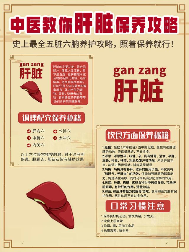 五脏六腑全套保养秘籍之肝脏篇，不要错过