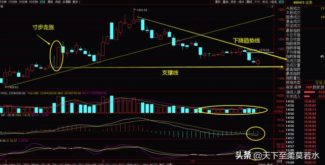 10.30周评：主线越来越清晰，即将迎接王者归来