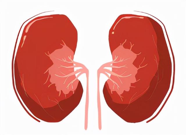 冬季养生正当时丨疫情期间的冬季进补，应该这么吃！