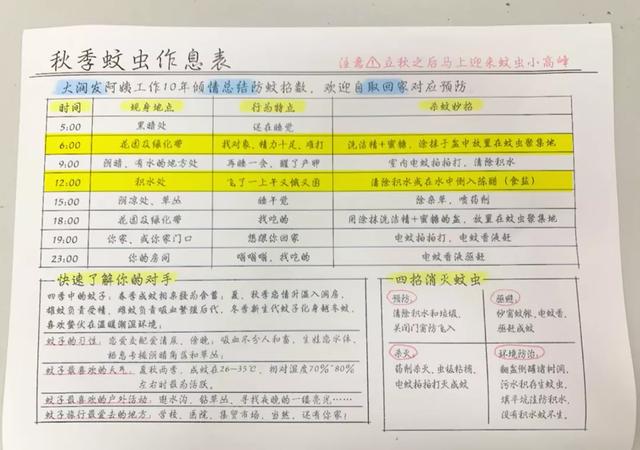 上海阿姨带火超市最隐秘的职业：你的苟且，正在成为别人的红利