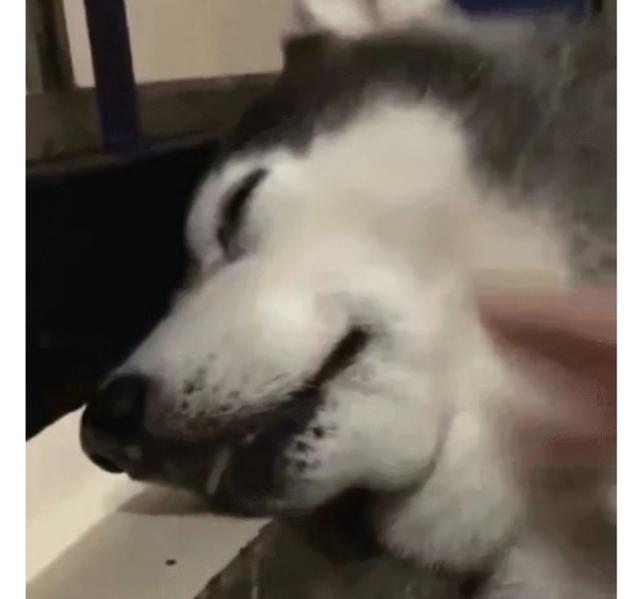 手机产品更新换代这么快，到底啥时候该换手机？