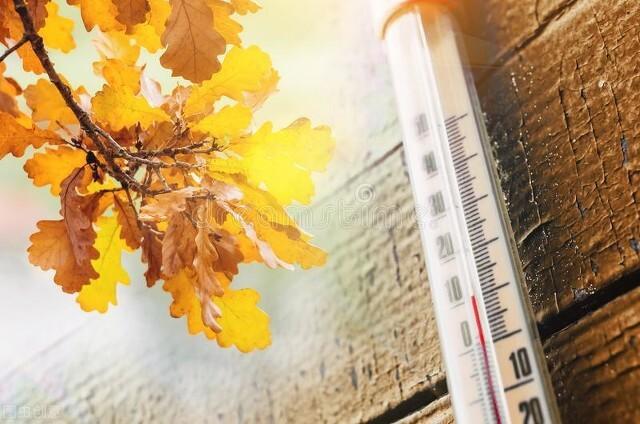 白露至，秋意寒，寒湿真的来了，做这3件事养好身体的小太阳